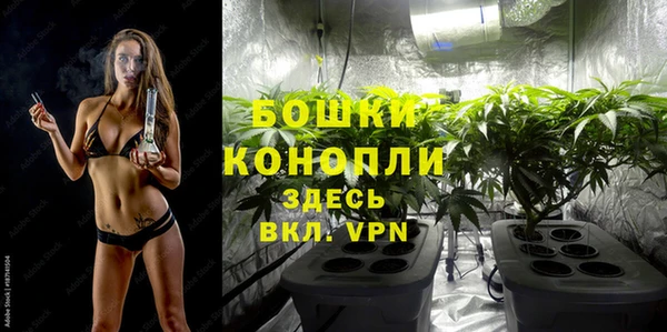 мдпв Бронницы