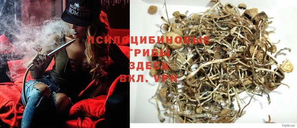 гидра Бугульма