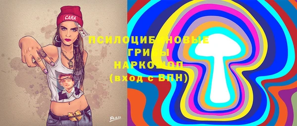 гашик Бородино