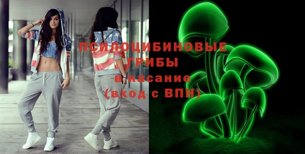 гашик Бородино