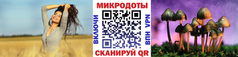 Псилоцибиновые грибы мухоморы  Владимир 